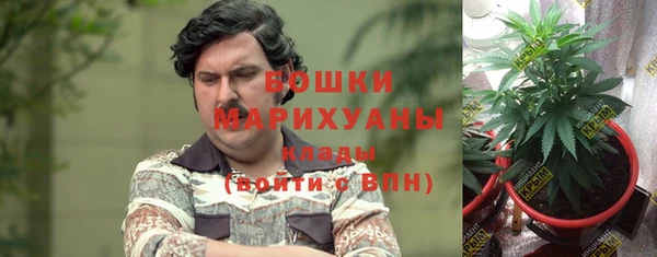 прущие грибы Каменск-Шахтинский