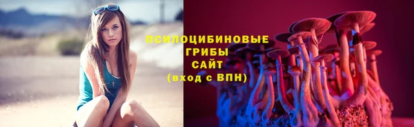 COCAINE Каменка