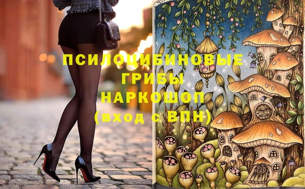 COCAINE Каменка