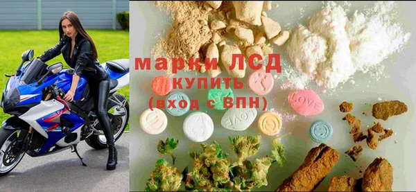 прущие грибы Каменск-Шахтинский