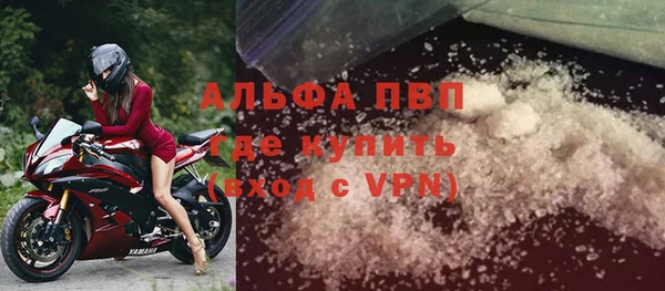 прущие грибы Каменск-Шахтинский