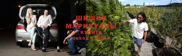 мяу мяу мука Каменногорск