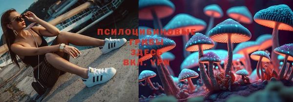 мяу мяу мука Каменногорск