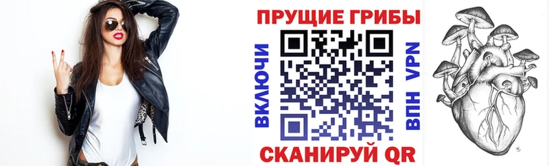 Купить  Семёнов  Псилоцибиновые грибы ЛСД 