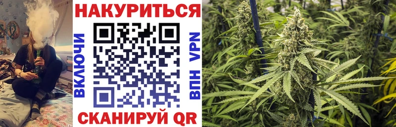 Канабис ГИДРОПОН  Купить  Семёнов 